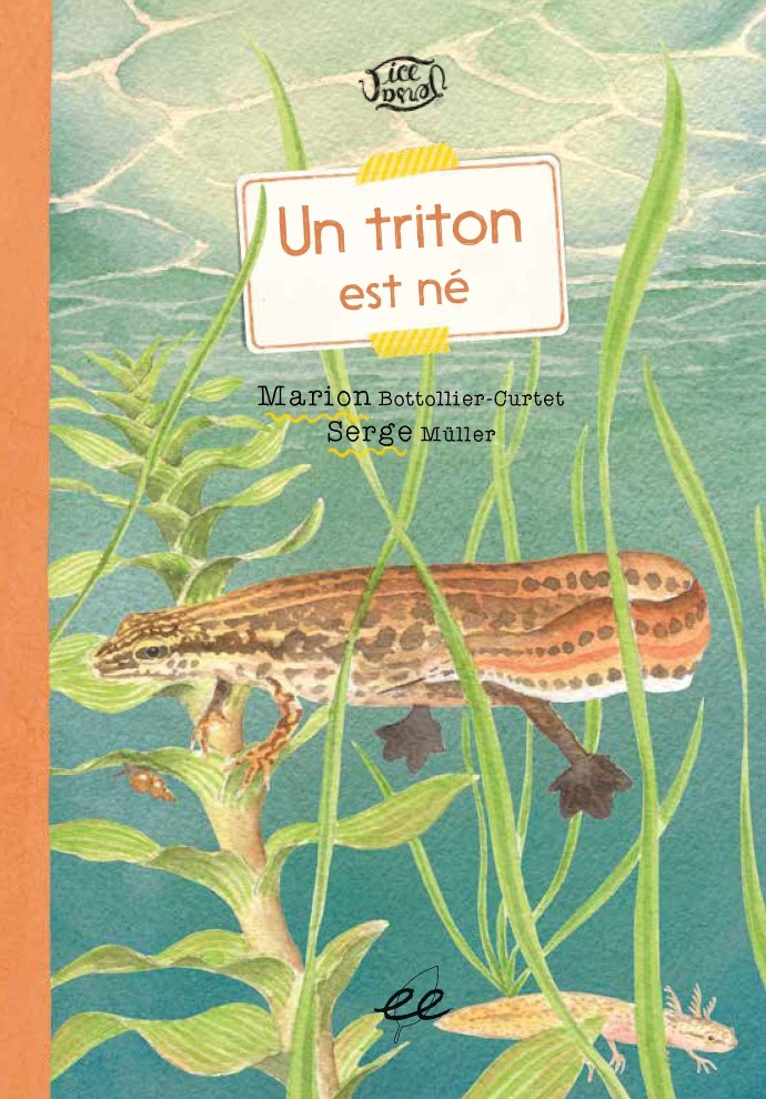 [9782906128460] Un triton est né